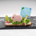 Jennifer L. / Gartenferkel / 72 Votes